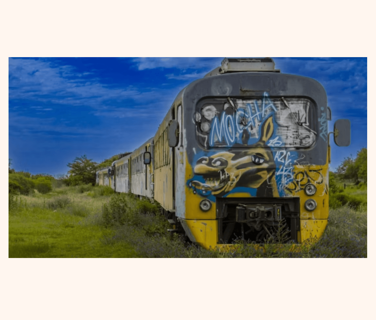 El tren del tiempo – Jorge Negro Ulle