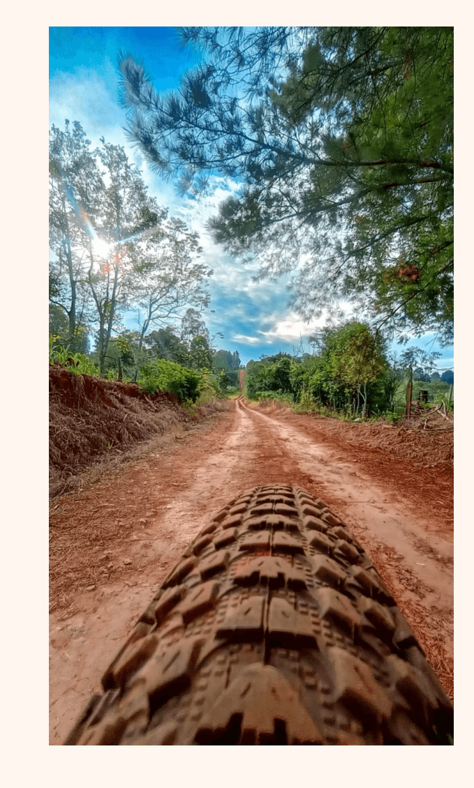 Camino – Sánchez Valeria