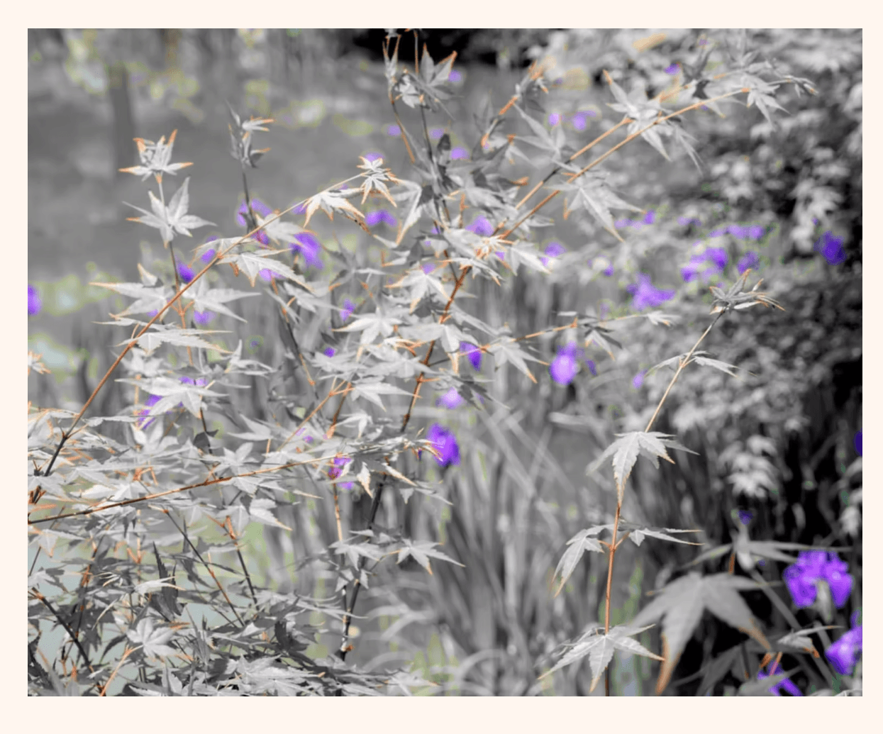 Fluye constante – Mirta Gendin