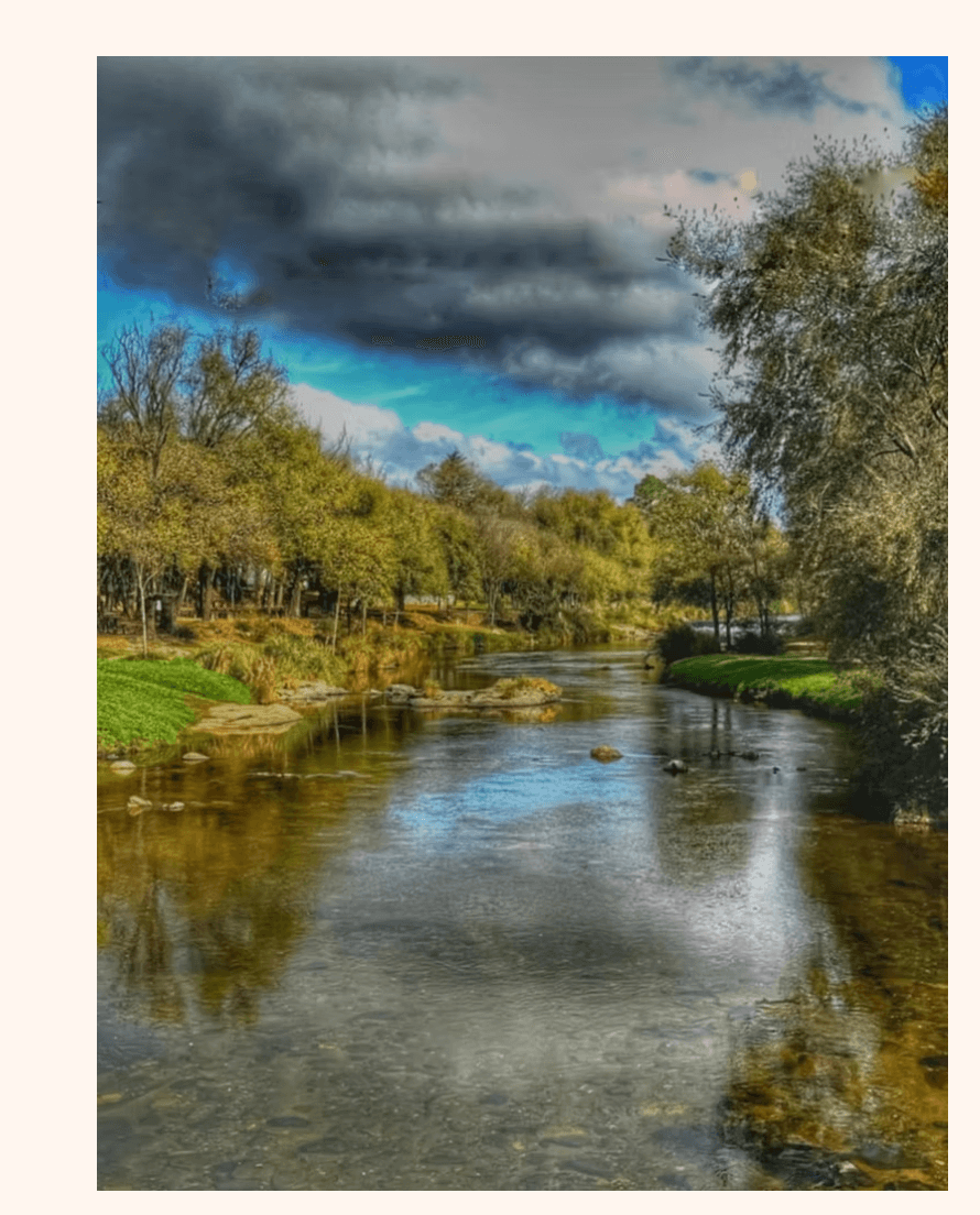 Puente los Reartes – Carina Rover